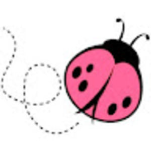 Meet your Posher, Pink ladybug